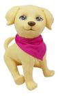 Barbie Cachorro Pet Veterinária Menina 1250 - Pupee Brinquedos