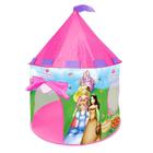 Barraca Castelo Piquenique das Princesas Rosa - Dm Toys