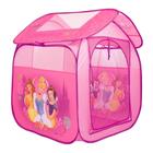 Barraca Infantil Casa Das Princesas Zippy Toys