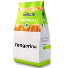 Base Saborizante de Sorvete Selecta Tropical Tangerina 1kg