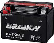 Bateria Brandy YTX9-BS Cb500 Xt600 Shadow600 Cbr900 Ninja250 Ninja300 Tenere750