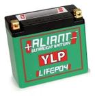 Bateria Lithium Litio Aliant Ylp14 Bmw Gs800 07 F700gs 13