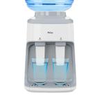 Bebedouro De Água Gelada Natural Refrigerado Elétrico Bivolt Galão