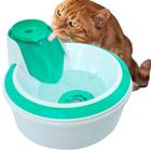 Bebedouro Gato Fonte de Água Gatos E Cães 2L Automático 110v Petlon