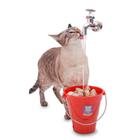 Bebedouro Torneira Fonte Gato Magicat Vermelho 110V Catmypet