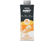 Bebida Láctea Jussara Whey Protein Banana - Sem Lactose Zero Açúcar 250ml