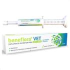 Beneflora Vet Suplemento Alimentar pra Cães e Gatos 14 g