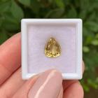 Berilo Amarelo Gota 2,15ct