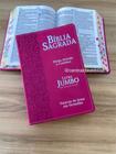 Biblia Letra JUMBO rosa pink Harpa e corinhos RC Biblia sagrada luxo