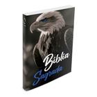 Bíblia Sagrada - Águia Âmbar Olho Azul - Brochura - NAA