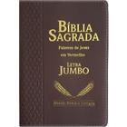 Bíblia Sagrada ARC Letra Jumbo Índice Luxo Vinho