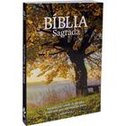 Bíblia Sagrada - Capa Ilustrada Árvore: Nova Almeida Atualizada (naa), De Sociedade Bíblica Do Brasil. Editora Sociedade