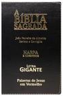 Biblia Sagrada Evangelica Nova Letra Gigante - Pae Editora