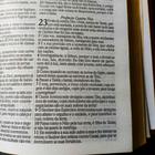 Biblia sagrada extraordinaria leao judá sk