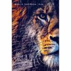 Biblia Sagrada King James atualizada capa dura media diversas capas