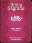 Bíblia Sagrada Letra Jumbo + Harpa Avivada Corinhos - Rosa