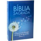 Bíblia Sagrada Popular NTLH Capa Brochura Ilustrada Azul