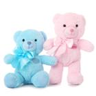 Bicho de pelúcia Teddy Bear Tezituor rosa e azul, 30 cm, pacote com 2