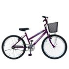 Bicicleta Aro 24 Femenina/Menina Juvenil Cestinha Freios V Brake Rodas Alumínio Aero