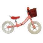 Bicicleta de Equilíbrio Infantil Aro 12' Sem Pedal Com Cestinha - Z-Rader Kids - Bike Z-Rader