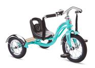 Bicicleta Schwinn Roadster para crianças pequenas, triciclo de 2 a 4 anos, azul-petróleo