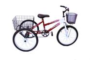 Bicicleta Triciclo aro 20