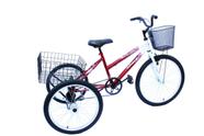 Bicicleta Triciclo aro 24