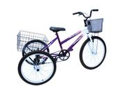 Bicicleta Triciclo aro 24