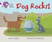 Big Cat Phonics Progress - Dog Rocks!