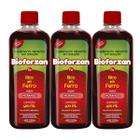 Bioforzan 400ml Suplemento de Morango Arte Nativa Kit c/ 3un