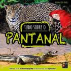 Biomas do brasil - tudo sobre o pantanal - PE DA LETRA