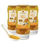 Bisnaga 300g de Mel Flores de Laranjeira Kit com 3 - Prodapys