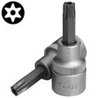 Bit Soquete Torx C/Furo 3/8 T40H - Statron