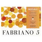 Bl Fabriano 5 Gf 26x36 300g 20f 19100259