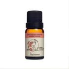 Blend Óleos Essenciais pets Hiperatividade 10ml Via Aroma