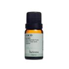 Blend Óleos Essenciais Via Aroma Foco 10 Ml