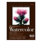 Bloco Aquarela Strathmore 300g 22,9x30,5cm 12 Folhas