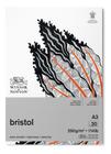 Bloco Bristol Desenho Winsor & Newton 250g 20 Folhas A3