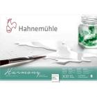 Bloco Hahnemuhle 300G/M2 Satinada 17,8X25,4Cm 12 Folhas - Hahnemühle