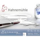 Bloco Hahnemuhle Watercolour Harmony Textura Rugosa 40x50cm 12 Folhas