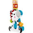 Blocos de Brinquedo Zebra Surpresa Fisher Price