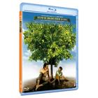 Blu-Ray - Meu Pé De Laranja Lima - José De Abreu