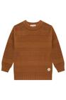 Blusa De Frio Infantil Masculina Blusão Em Tricot LucBoo Manga Longa Casaco Moda Inverno Tigrinho