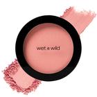 Blush Wet n Wild Color Icon Pink Blush Powder Nudist Society