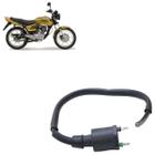 Bobina de Ignição CG 125 Titan 2000 A 2002