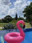 Boia de Flamingo Pink Gigante 120cm p/ Piscinas