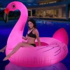 Boia de Piscina Cisne Flamingo Gigante com LED - Movida a Energia Solar