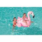 Boia flamingo medio - 001976 mor