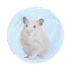 Bola Acrílica Hamster Roedores Exercício Savana G 14,5cm