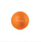 Bola de Exercícios Yoga Pilates Ginástica Com Bomba - Hidrolight 20cm FL13F